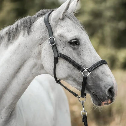 Horse Advent Calendar - 2025