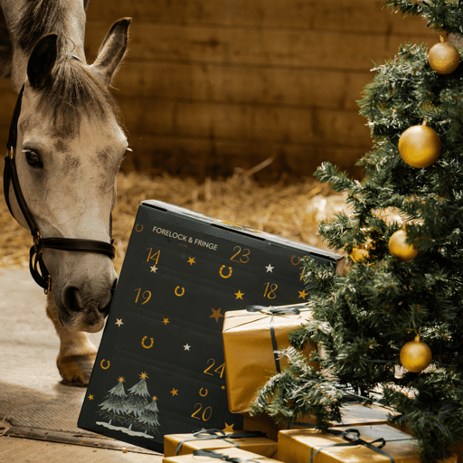 Horse Advent Calendar - 2025