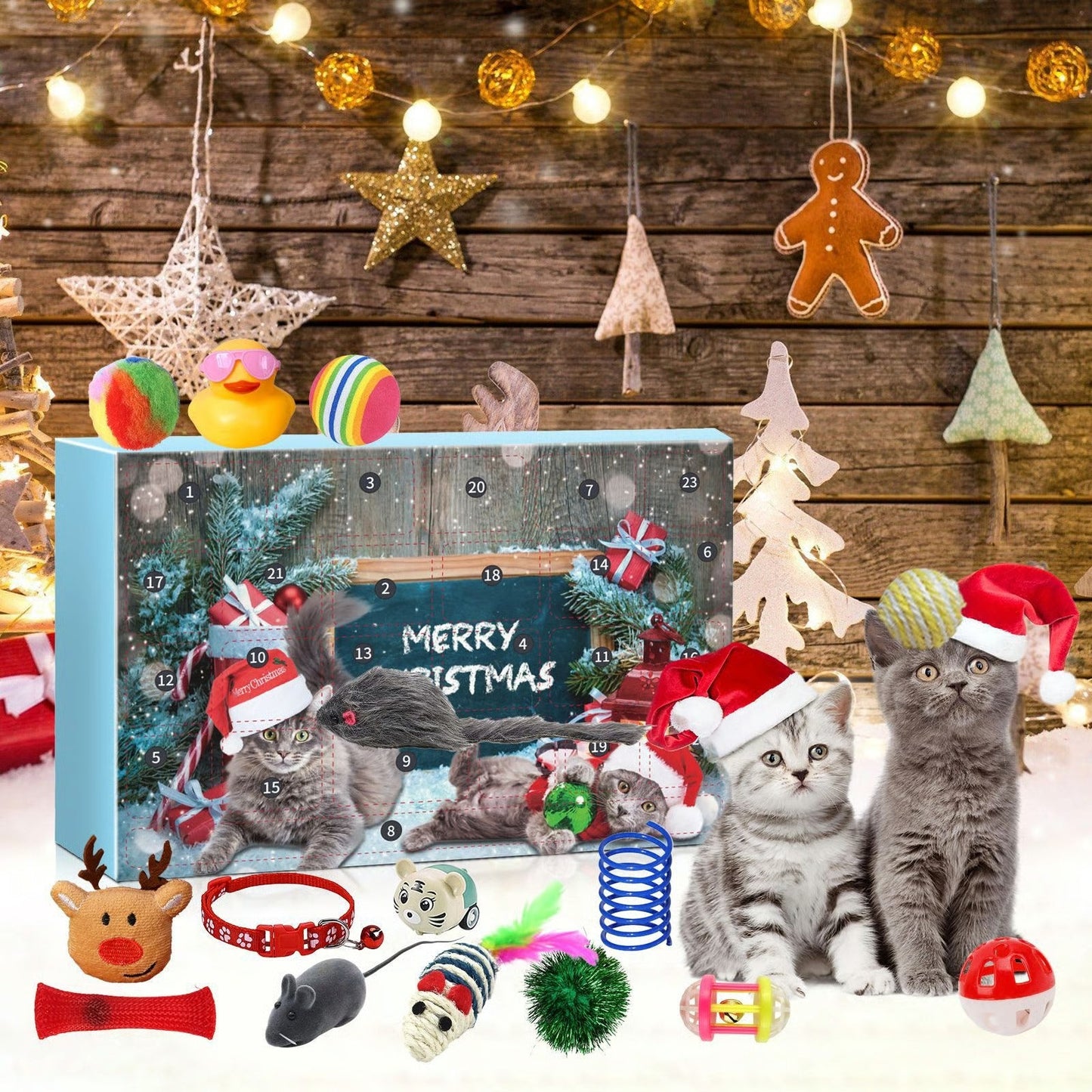 2025 New cat advent calendar